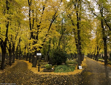 Cemitérios de Olšany