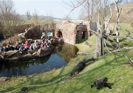 Jardim Zoológico de Praga